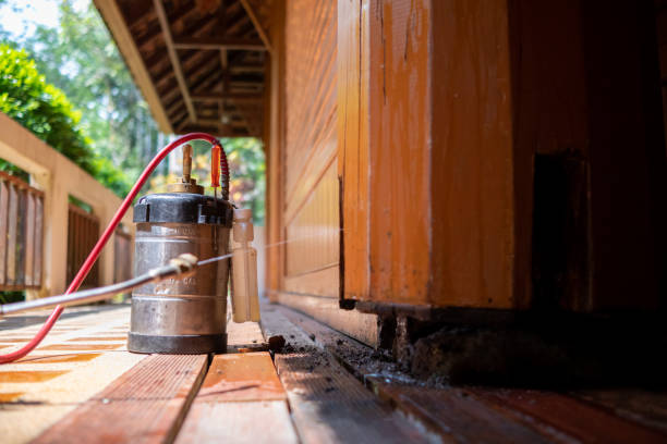 Best Residential Pest Control  in Westport, NC
